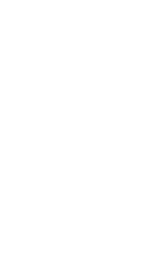 Ticket (Fade rechts) | BLUSH